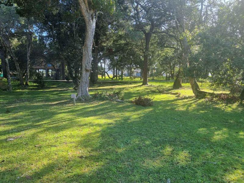 0 Bedroom Property for Sale in Brenton On Lake Western Cape